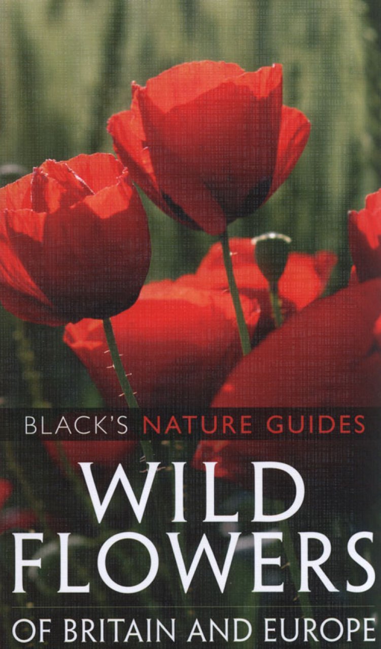 wild flowers of britain and europe