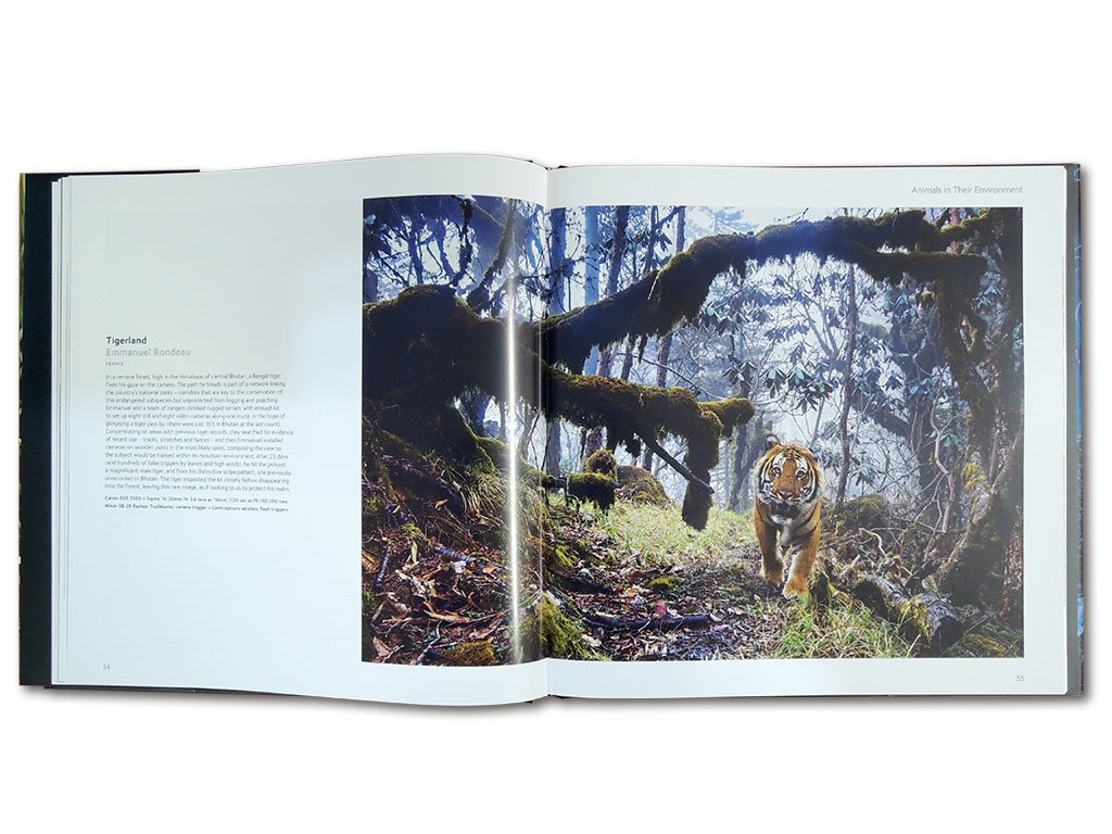 wildlife photographer of the year. portfolio 28