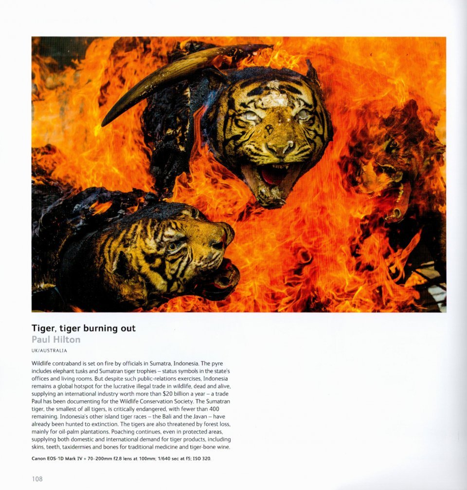wildlife photographer of the year. portfolio 30
