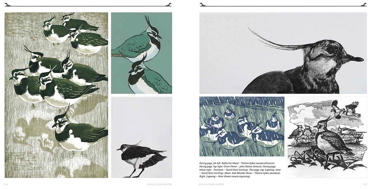 wings over water. waders, wildfowl, seabirds & more