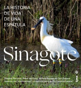 sinagote, la historia de vida de una esptula