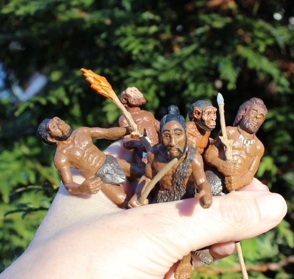 figuras evolucin del hombre