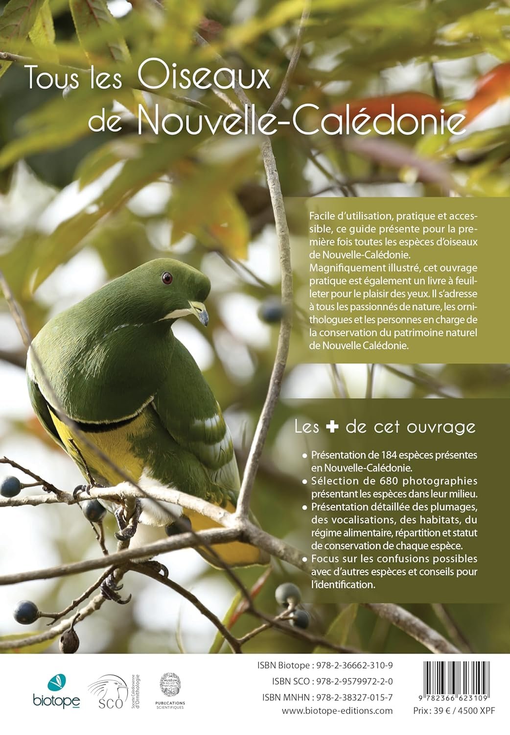 oiseaux de nouvelle-caldonie. grande terre, lles loyaut et archipels loigns