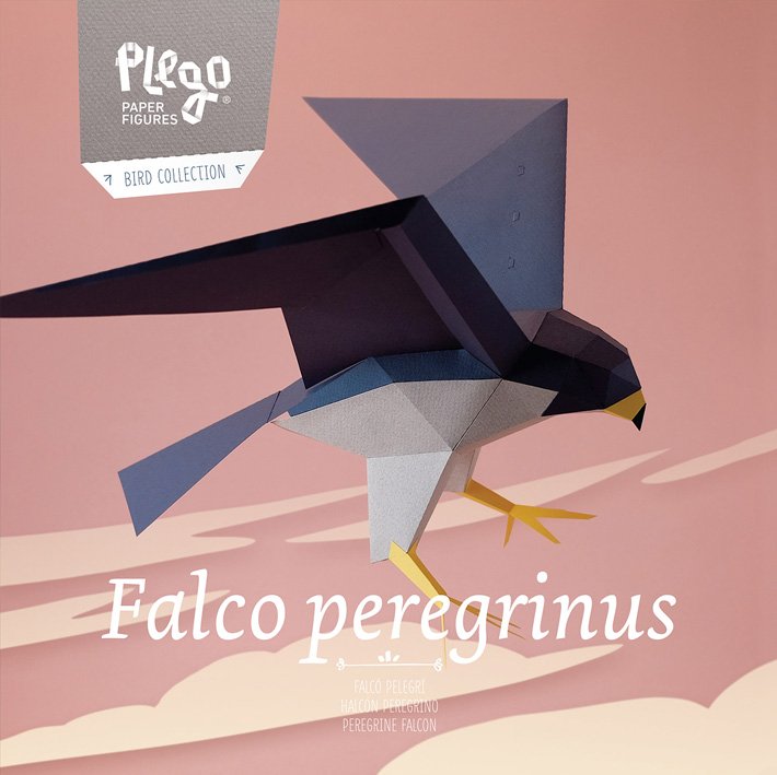 plegopaper- figura recortable de halcn peregrino (falc pelegr)