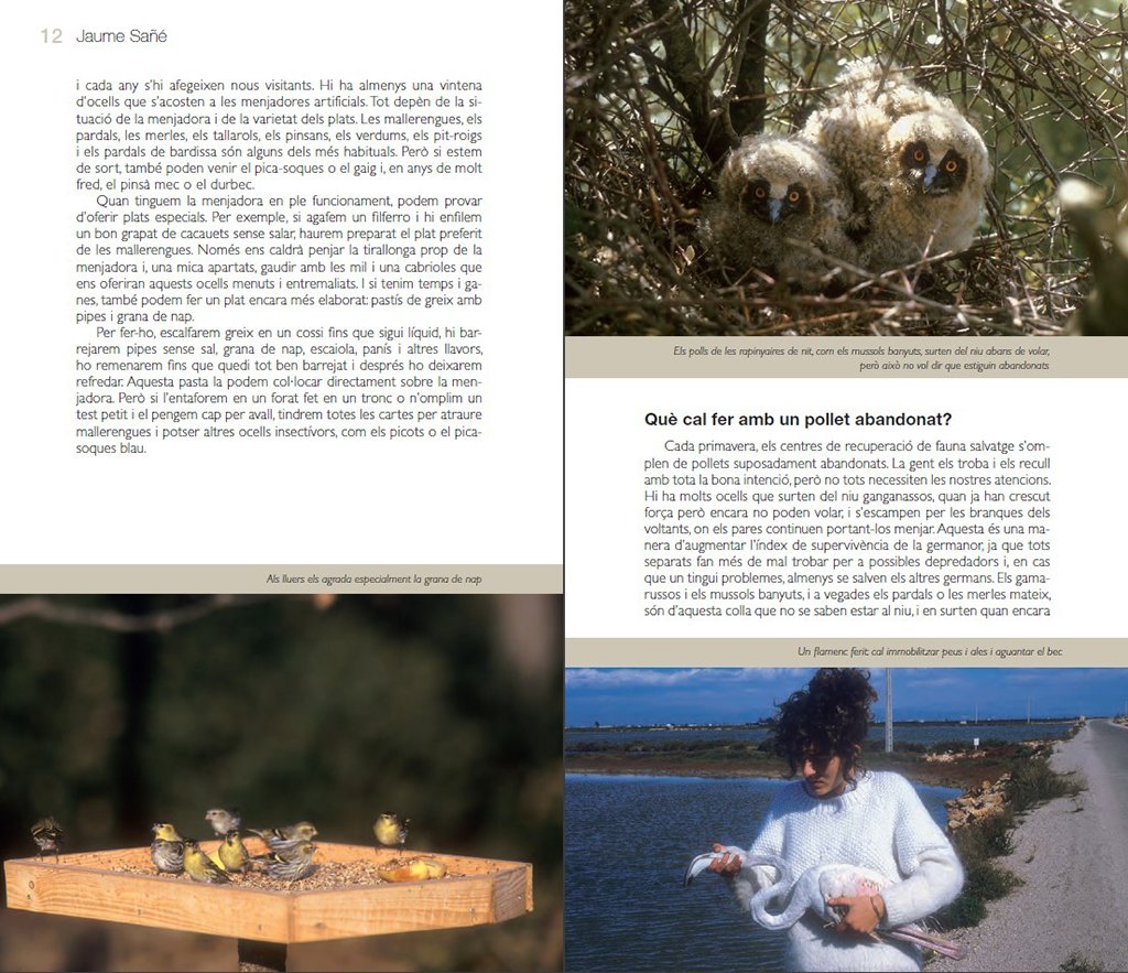 els ocells. conixer la natura amb jaume sa