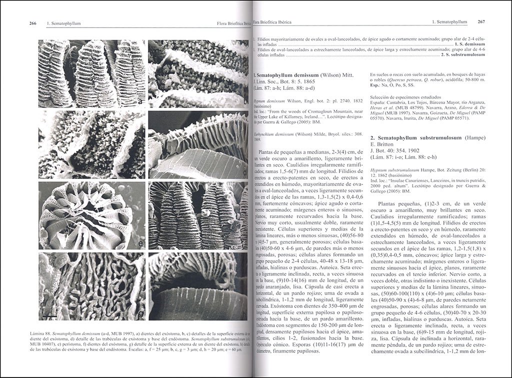 flora brioftica ibrica. volumen 6. hypnales