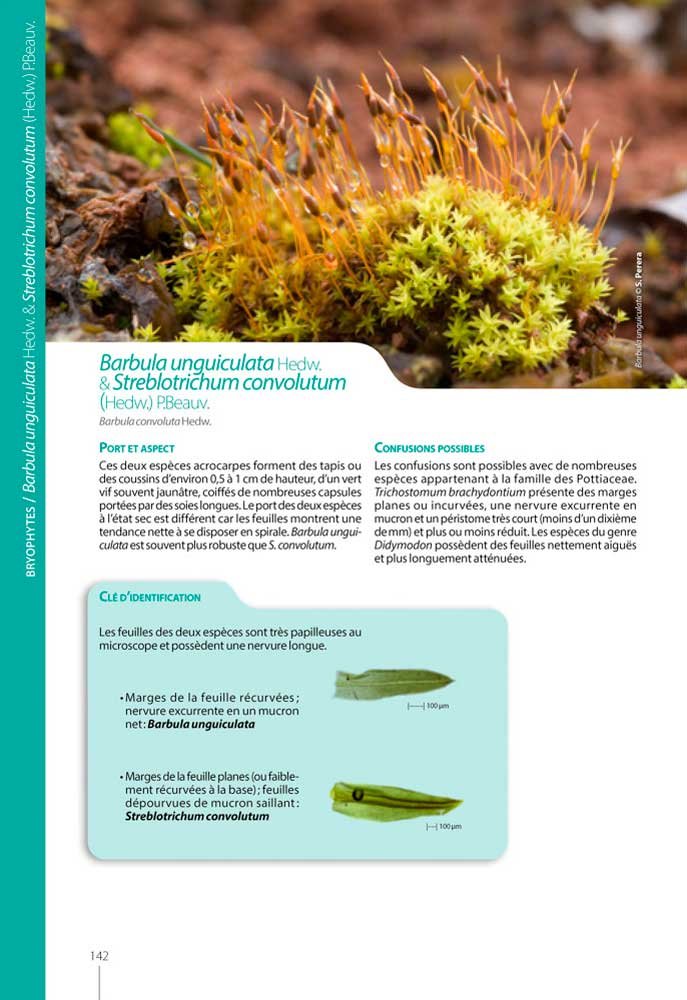 guide dcouverte des mousses & hpatiques de france