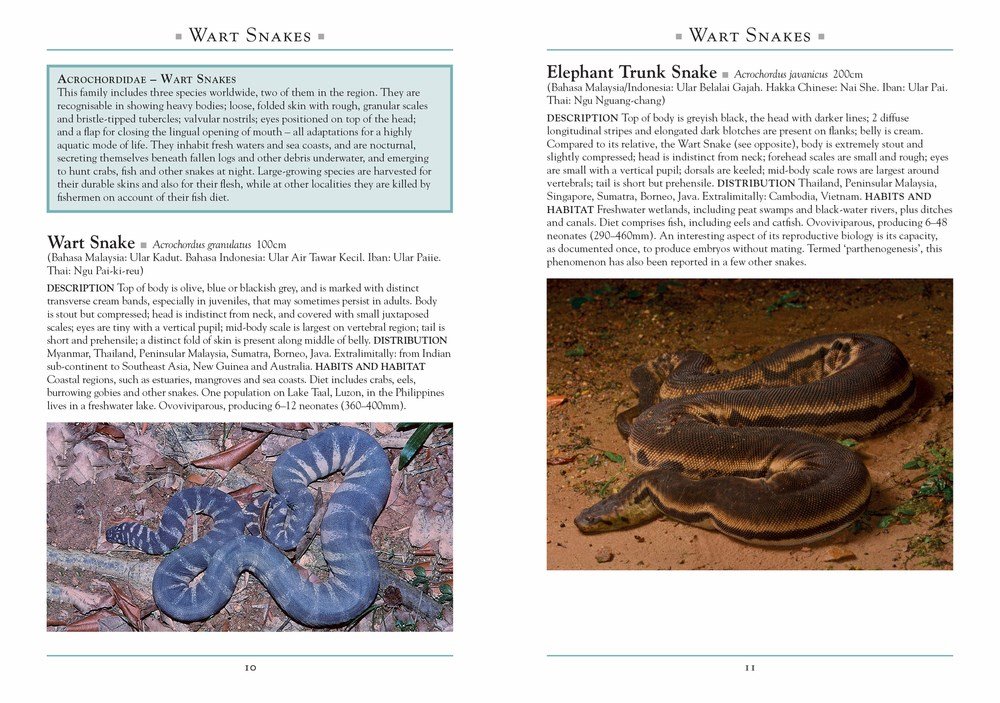a naturalist's guide to the snakes of southeast asia 3 edition