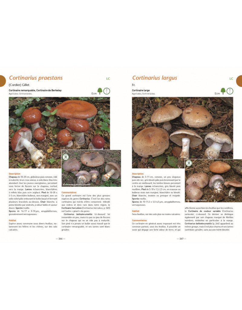a la dcouverte des champignons de bourgogne-franche-comt