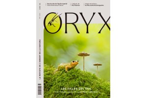 revistas y publicaciones peridicas