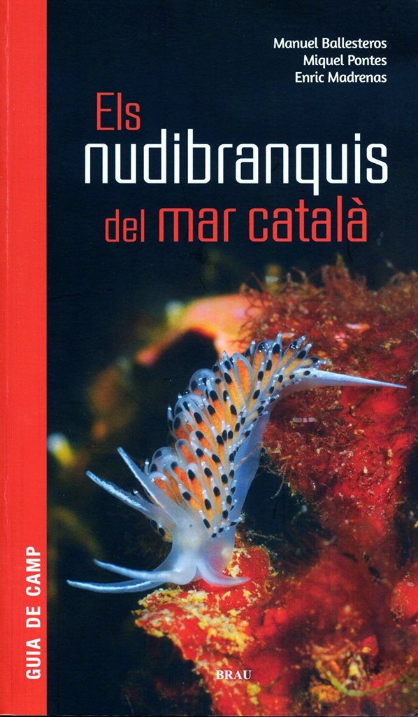 els nudibranquis del mar catal