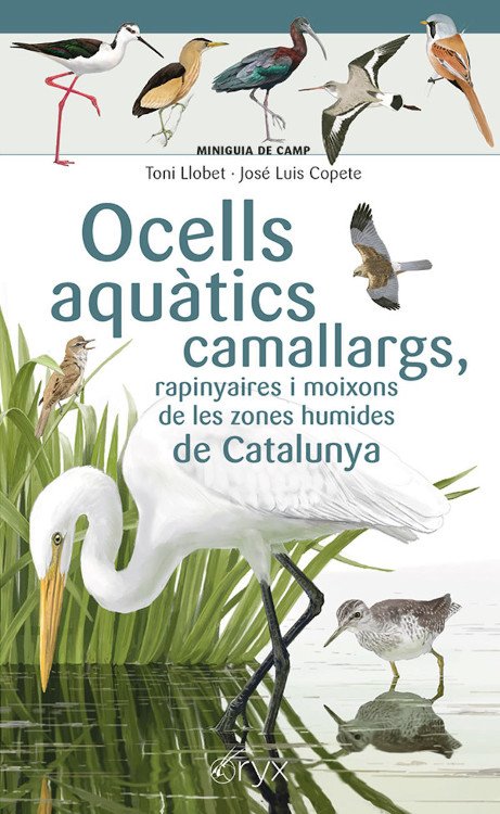 ocells aqutics camallargs, rapinyaires i moixons de les zones humides. miniguia de camp
