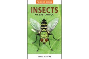 invertebrats d'frica
