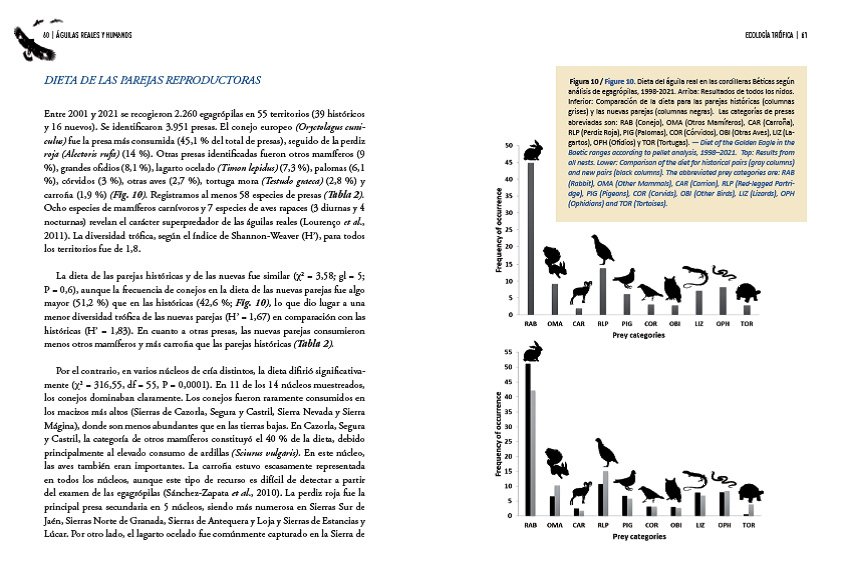 guilas reales y humanos expansin a paisajes dominados por humanos/golden eagles and humans expansion to human dominated landscapes