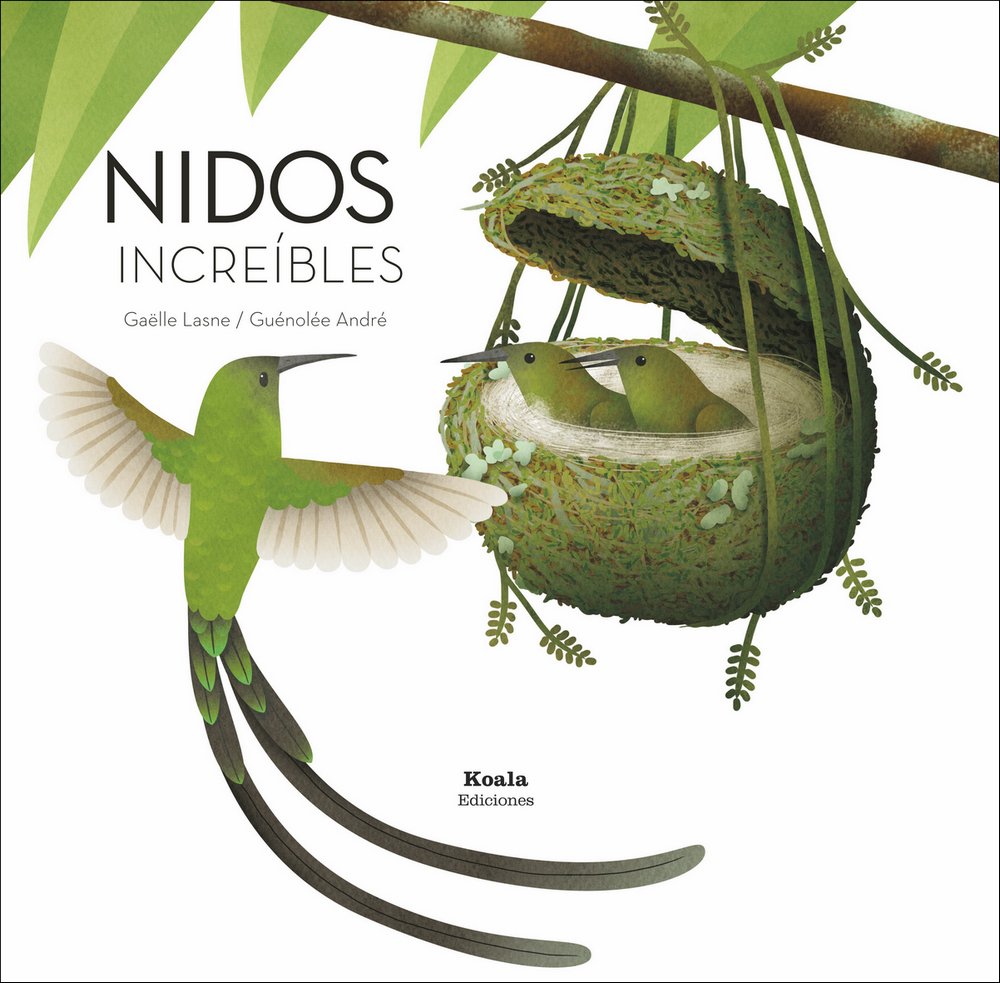 nidos increbles
