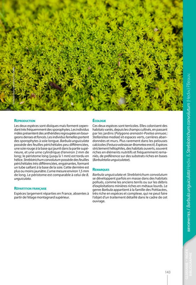 guide dcouverte des mousses & hpatiques de france