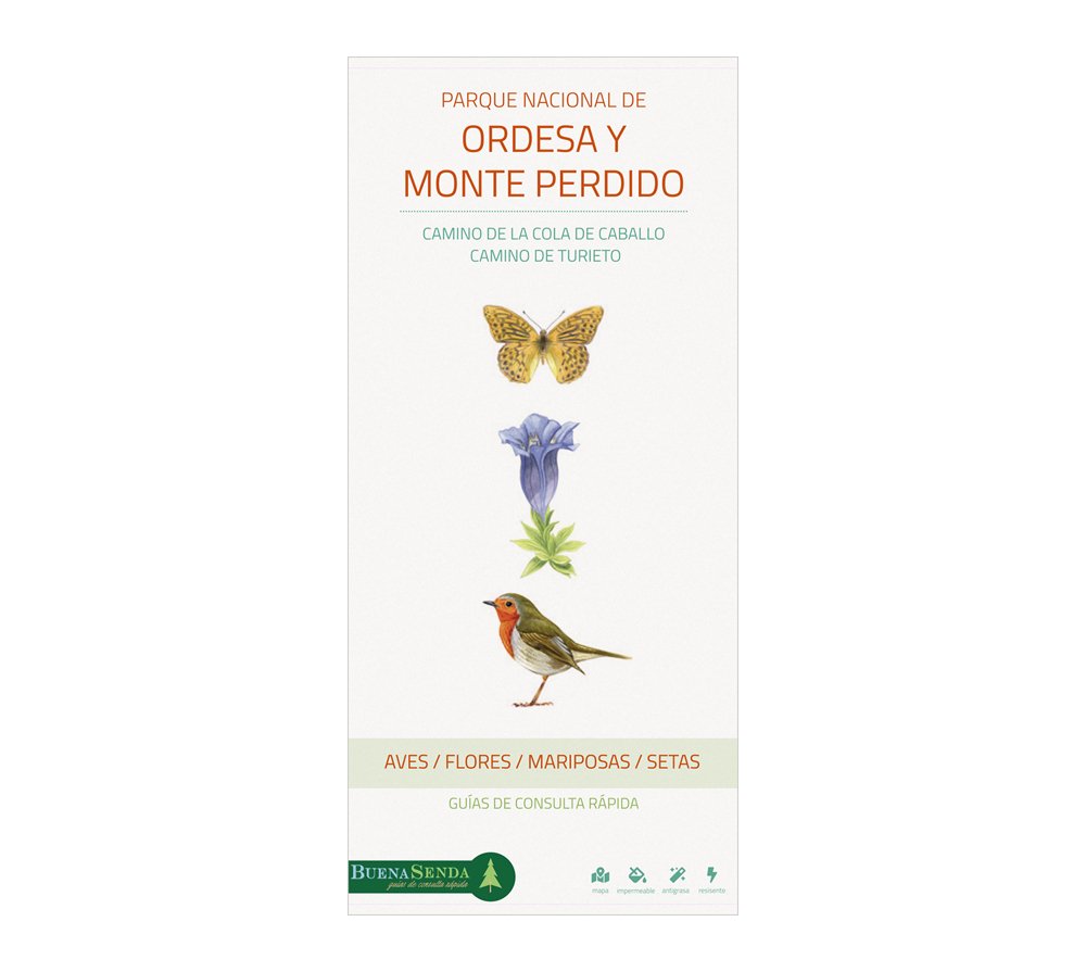 parque nacional de ordesa y monte perdido. camino de la cola de caballo y camino de turieto. aves, flores, mariposas y setas. guas de consulta rpida (mixto)