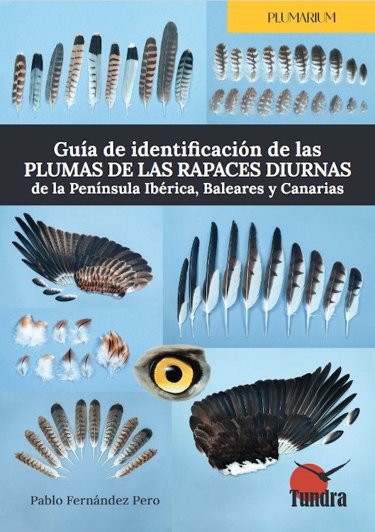 gua de identificacin de las plumas de las rapaces diurnas de la pennsula ibrica, baleares y canarias