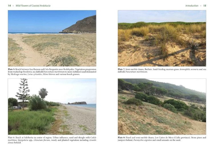 wild flowers of coastal andaluca. a photographic field guide