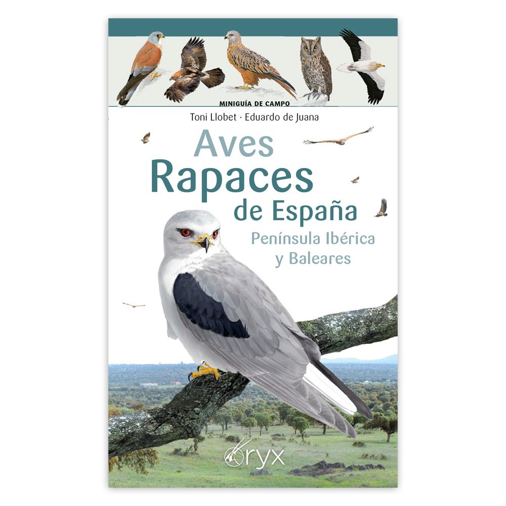 aves rapaces de espaa, pennsula ibrica y baleares. minigua de campo