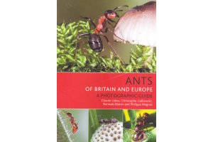 invertebrats d'europa, nord d'frica i orient prxim