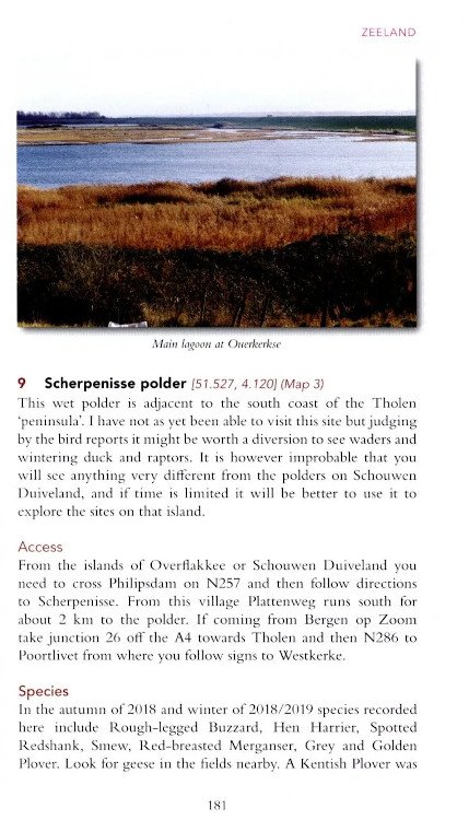 a birdwatching guide to the netherlands