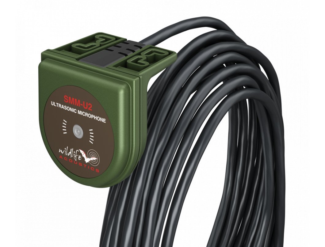 kit oryx grabadora de ultrasonidos pasiva song meter sm4bat fs + micrfono de ultrasonidos smm-u2 con 5 m de cable wildlife acoustics