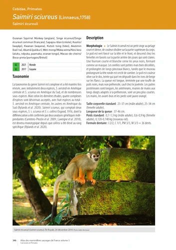 atlas des mammifres sauvages de france. volume 3: carnivores et primates