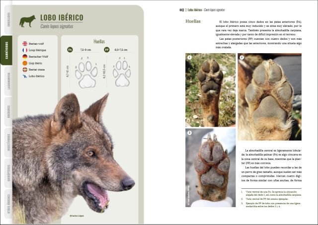 gua visual de huellas y rastros de la fauna de espaa y resto de europa
