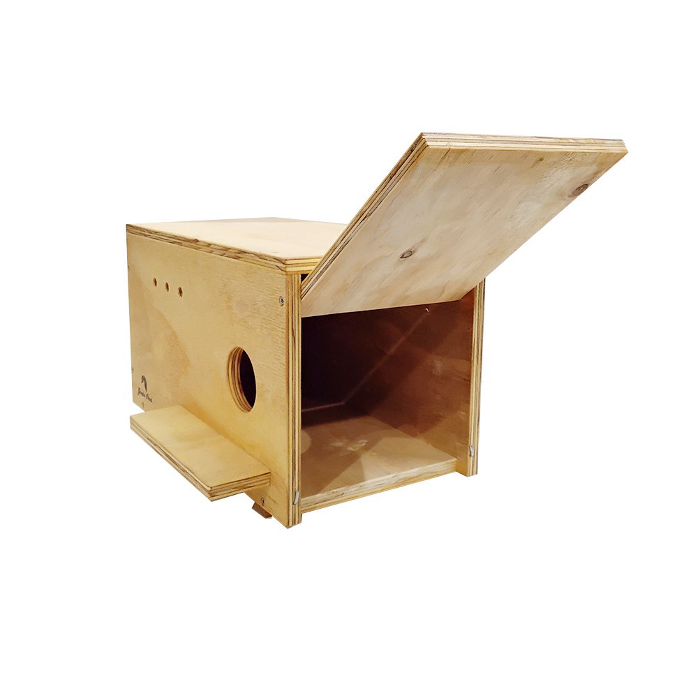 caja nido para cerncalo primilla en madera tratada