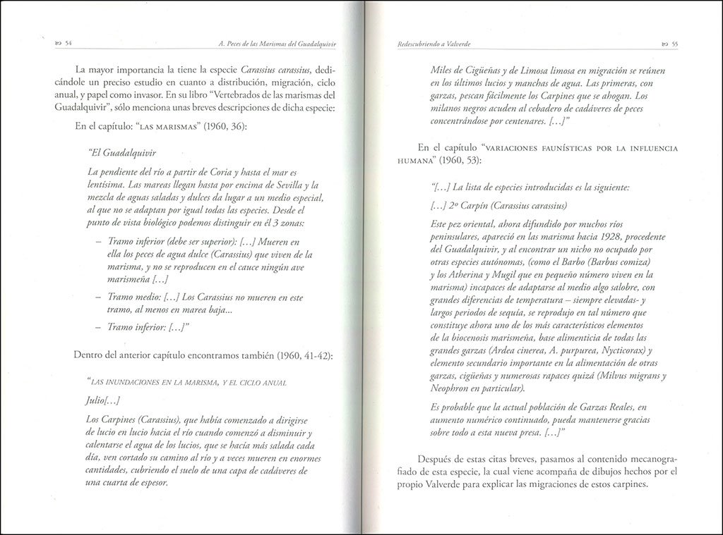 redescubriendo a valverde. documentos inditos del fundador de doana