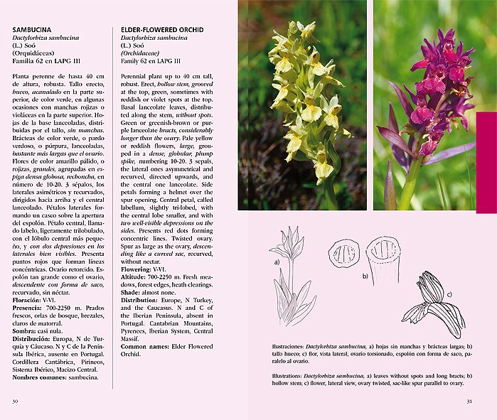 gua de orqudeas de somiedo asturias. guide to the orchids of somiedo asturias