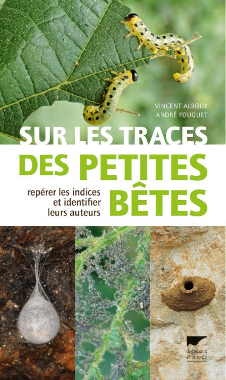 sur les traces des petites btes