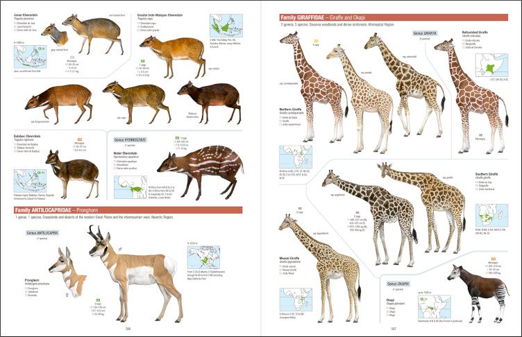 all the mammals of the world