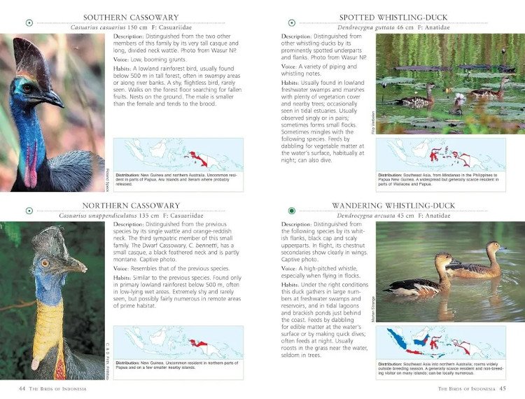 a photographic guide to the birds of indonesia
