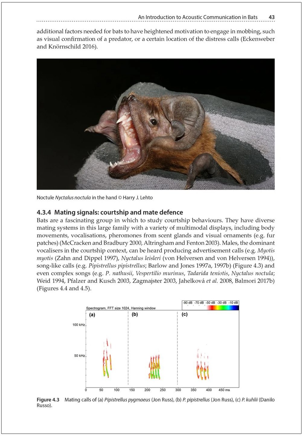 bat calls of britain and europe. a guide to species identification