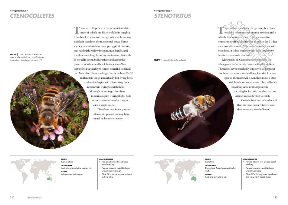 bees of the world. a guide to every family