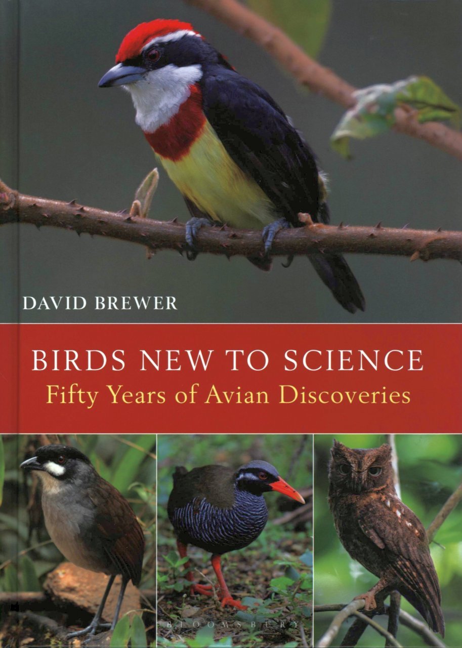 birds new to science: 50 years of avian discoveries