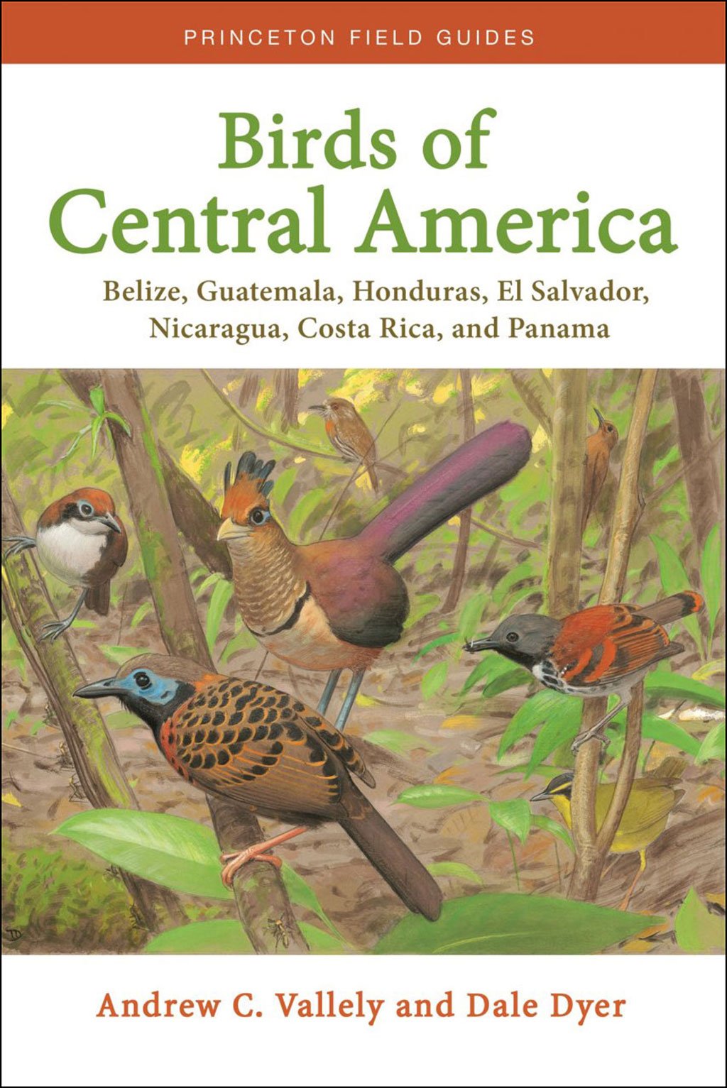 birds of central america: belize, guatemala, honduras, el salvador, nicaragua, costa rica and panama