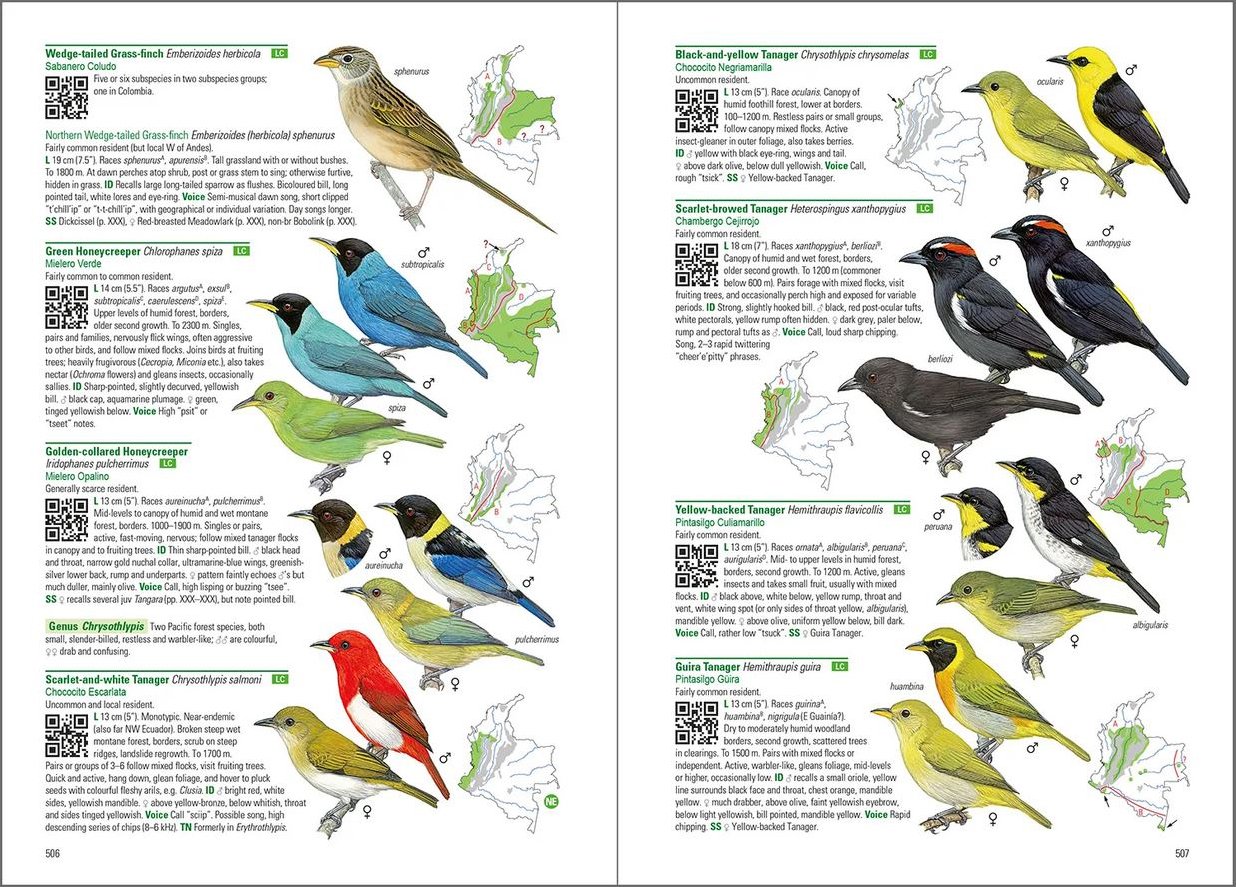 birds of colombia