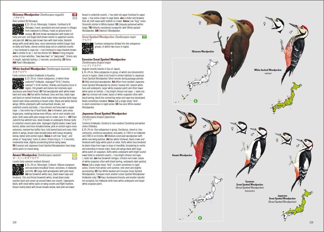 birds of japan