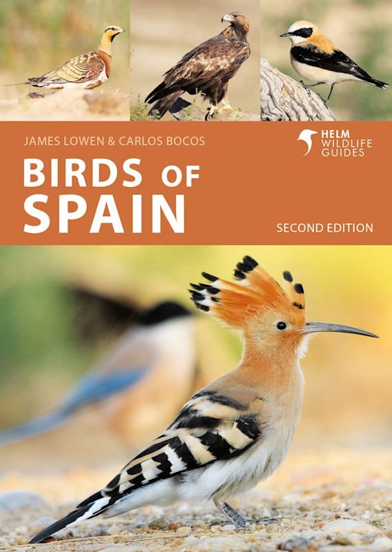 birds of spain