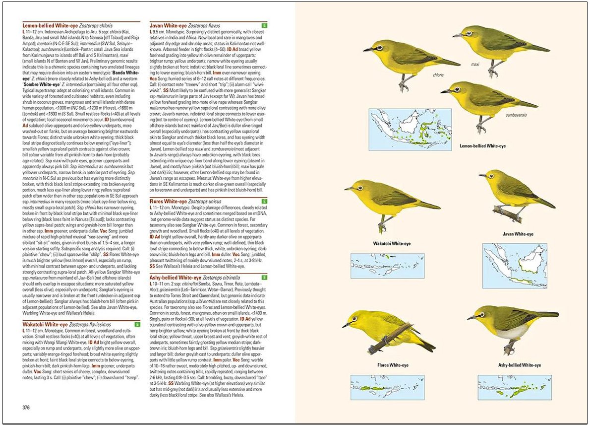 birds of the indonesian archipelago greater sundas and wallacea