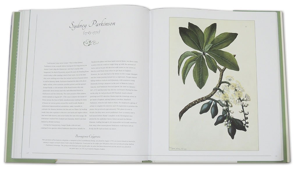 botanical art. from renaissance herbaria to the 19th century