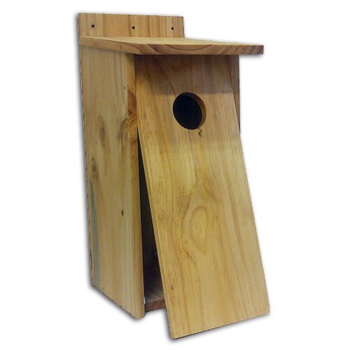 caja nido para mochuelo en madera tratada