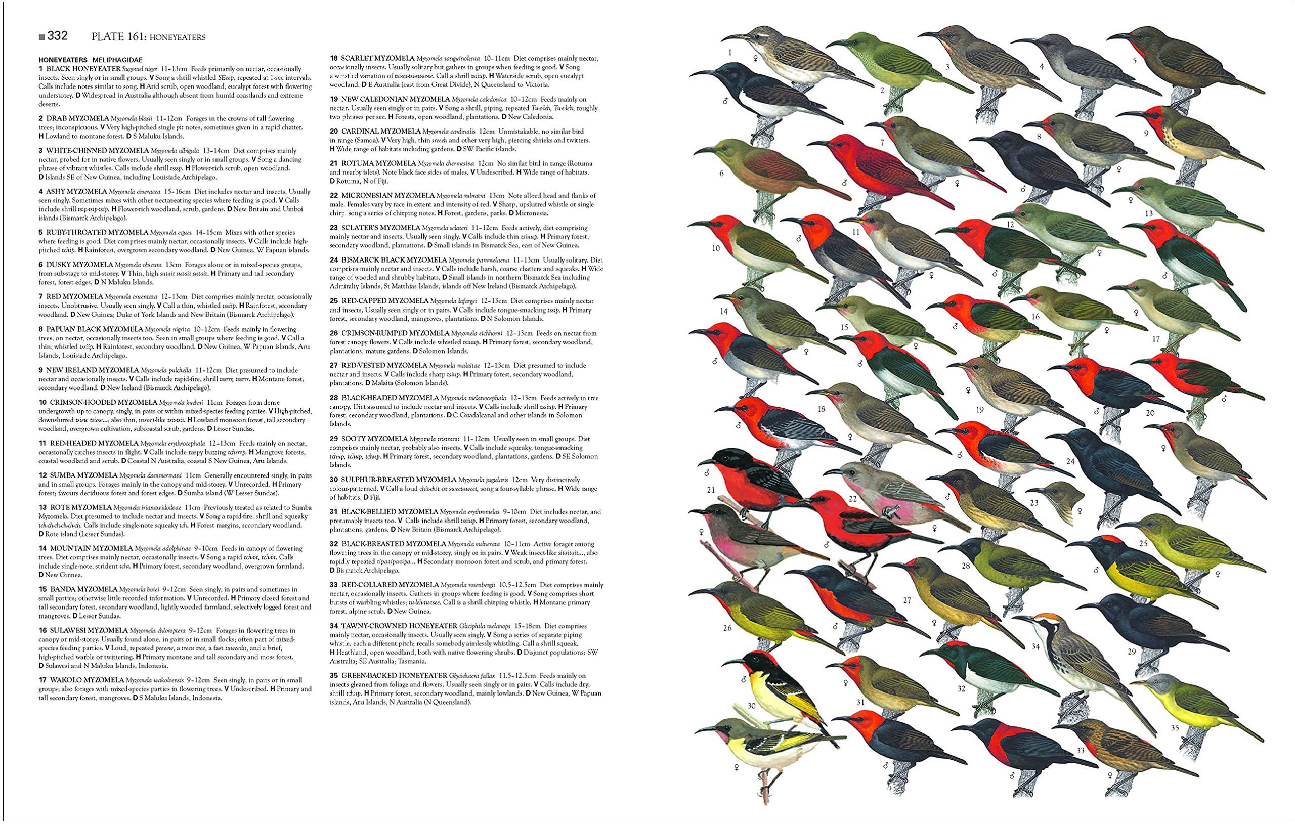 collins birds of the world. all 10.711 species illustrated