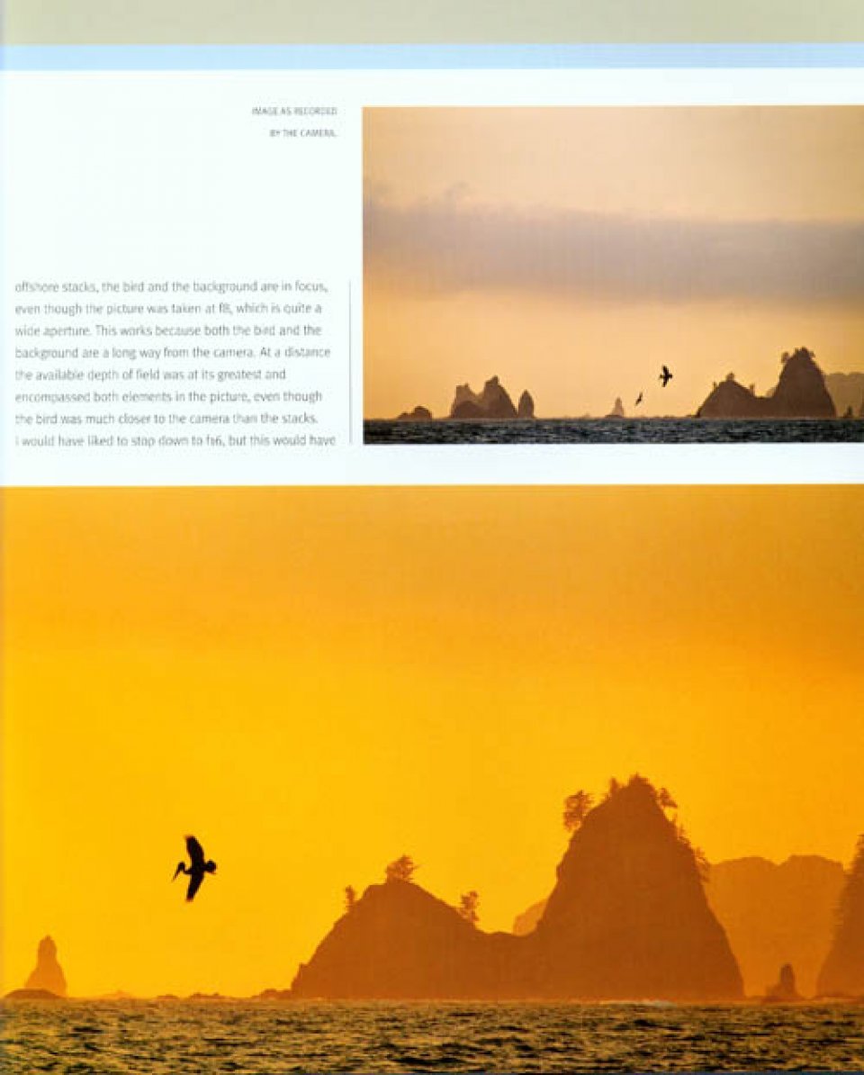 creative nature photography