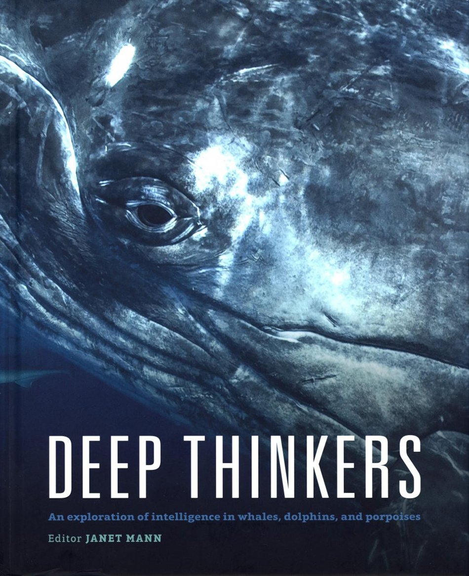 deep thinkers: an exploration of intelligence in whales, dolphins and porpoises