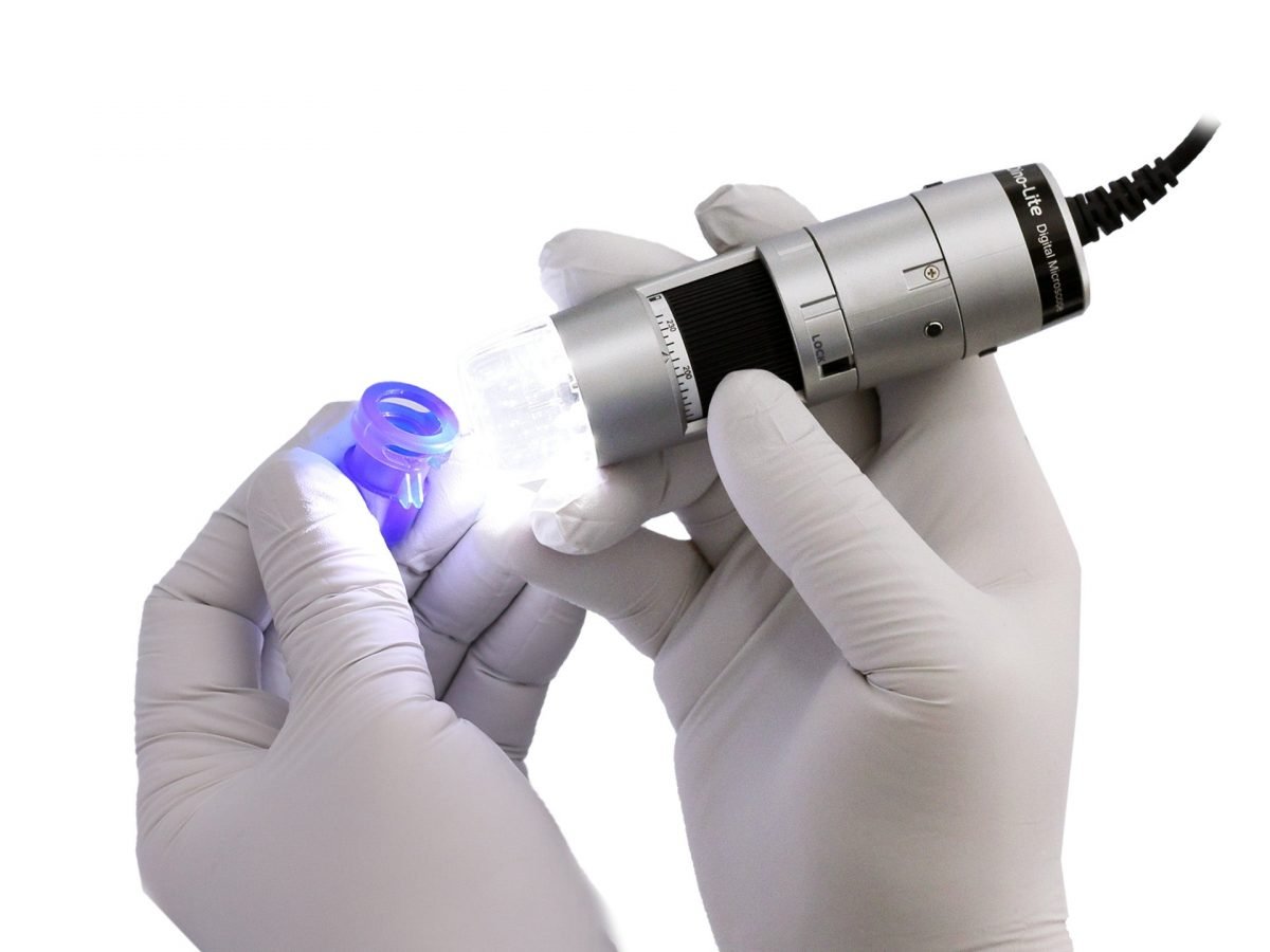 dino-lite microscopio digital af3113t