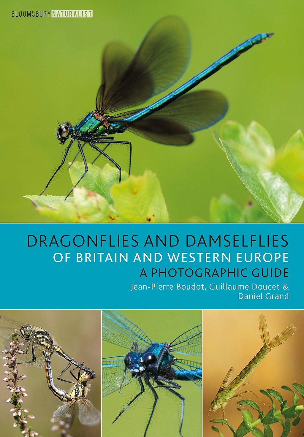 dragonflies and damselflies of britain and western europe. a photographic guide